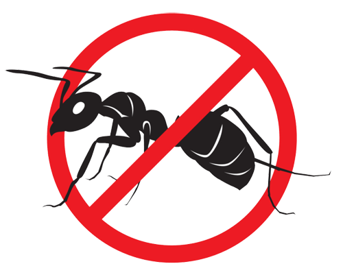 6 Step Insect Barrier Protection - Pest Management